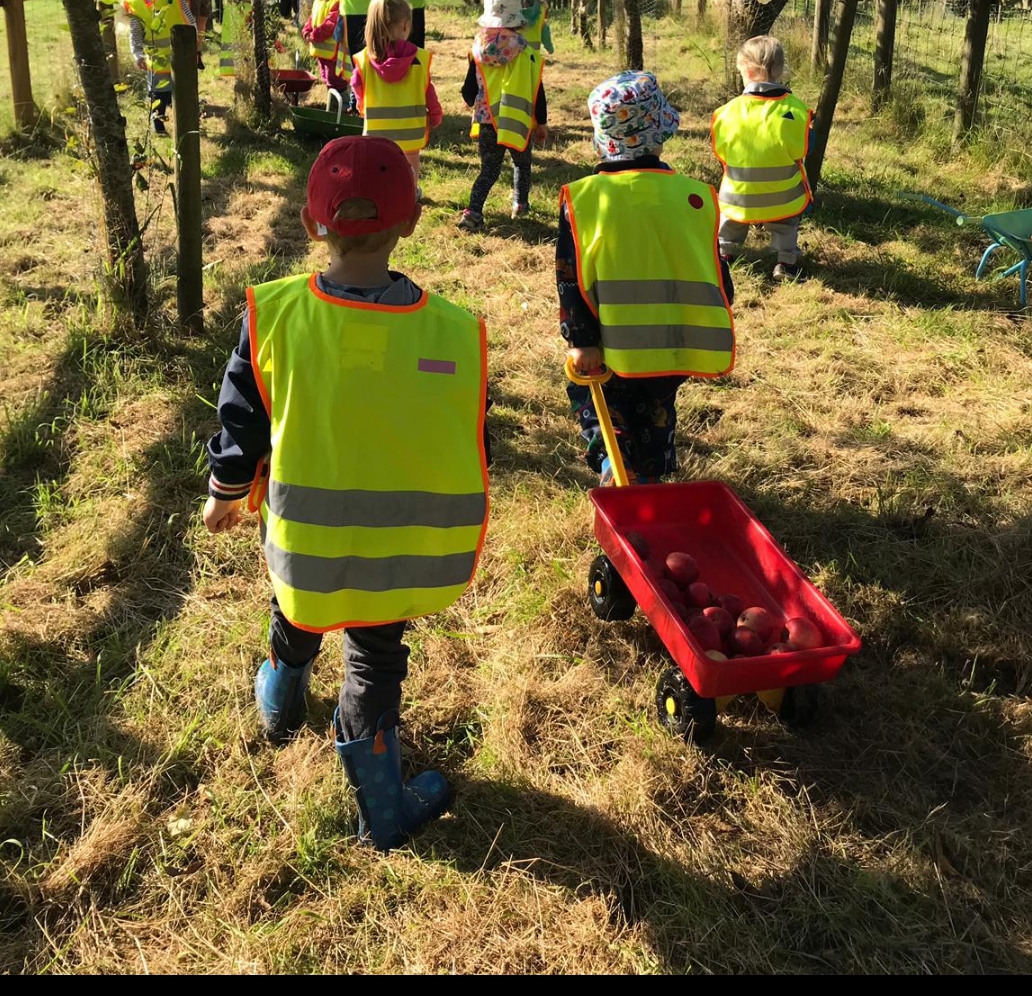 Screenshot_20190923-142932